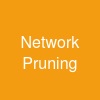 Network Pruning