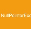 NullPointerException