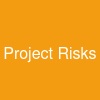 Project Risks