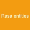 Rasa entities