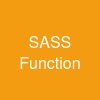 SASS Function