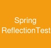 Spring ReflectionTestUtils