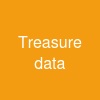 Treasure data