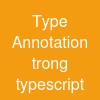 Type Annotation trong typescript