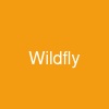Wildfly