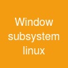 Window subsystem linux