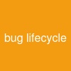 bug lifecycle