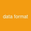 data format