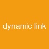 dynamic link