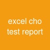excel cho test report