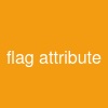 flag attribute