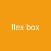 flex box