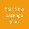 hỏi về file package. json