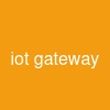 iot gateway