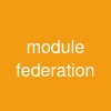 module federation