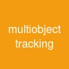 multi-object tracking