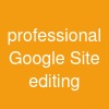 professional Google Site editing