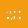segment anything