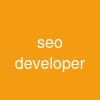 seo developer