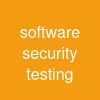 software security testing