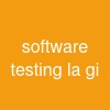 software testing la gi