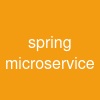 spring microservice