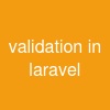validation in laravel