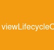 viewLifecycleOwner