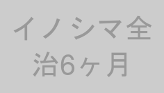 イノシマ全治6ヶ月