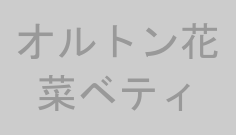 オルトン花菜ベティ