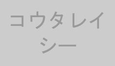 コウタレイシー