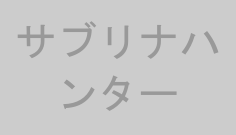 サブリナハンター