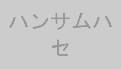 ハンサムハセ
