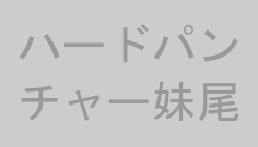 ハードパンチャー妹尾