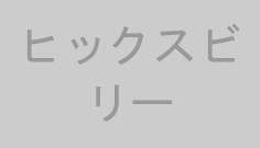 ヒックスビリー