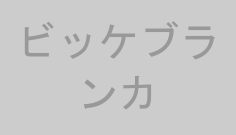 ビッケブランカ
