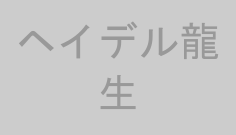 ヘイデル龍生