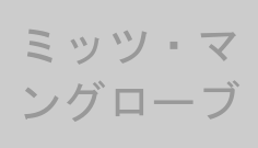 ミッツ・マングローブ