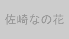 佐崎なの花