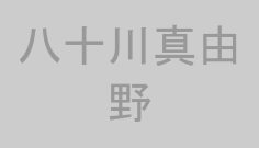 八十川真由野