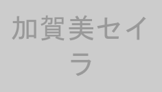 加賀美セイラ