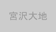 宮沢大地
