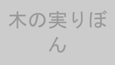 木の実りぼん