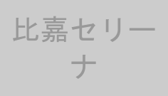 比嘉セリーナ