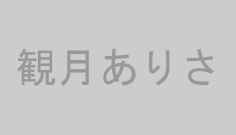 観月ありさ