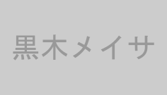 黒木メイサ