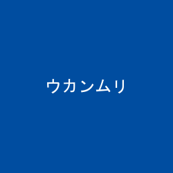 ウカンムリ