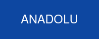 Anadolu Sigorta