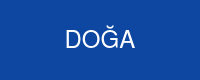 Doğa Sigorta