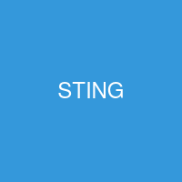 Sting Dâu